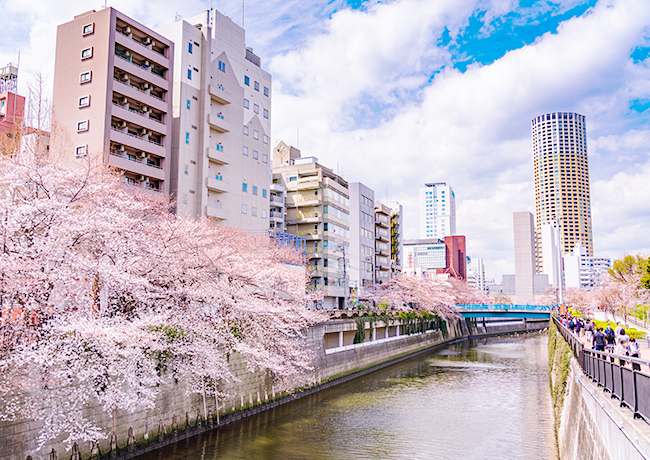 五反田の歯医者、ツツミ歯科クリニックの求人案内
