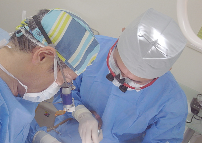 五反田の歯医者、ツツミ歯科クリニックの求人案内