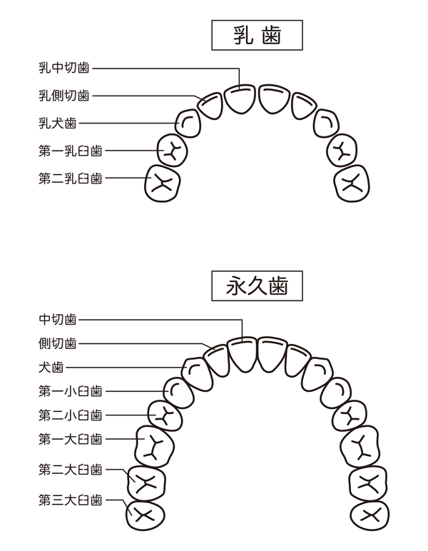 五反田の歯医者、ツツミ歯科クリニックの小児歯科