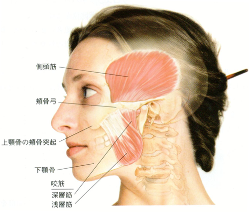 五反田の歯医者、ツツミ歯科クリニックのボトックス治療